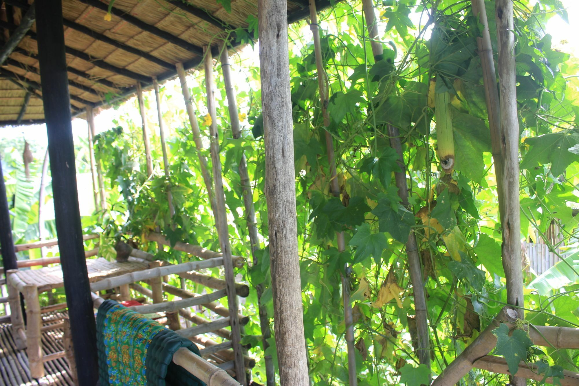 Battambang Dream Bungalows Exteriör bild